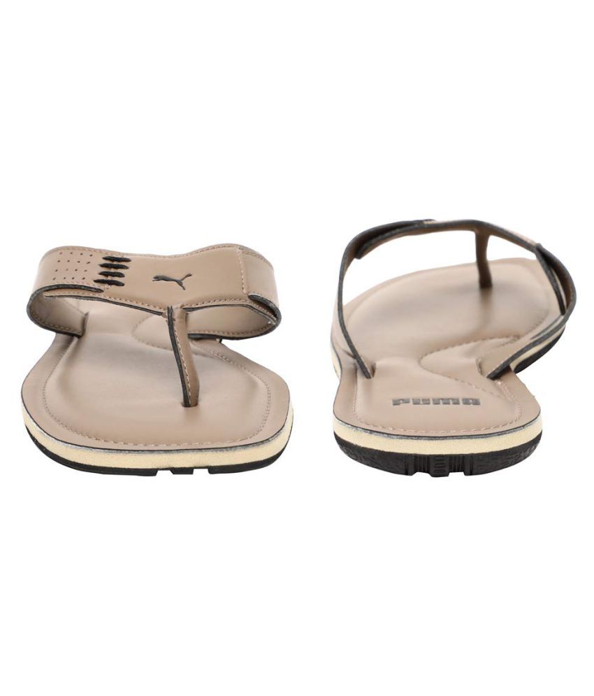 puma camel shoes