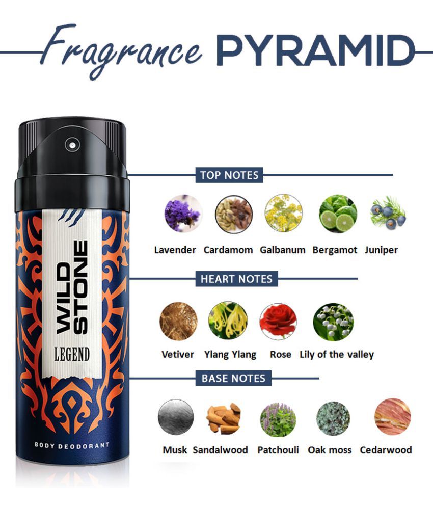 Wild Stone Legend Deodorant and Edge Face Wash (150 ml + 50 ml) (2 Items in the set) Buy Wild