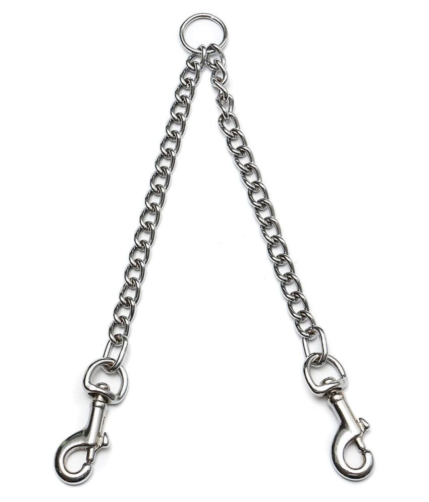 dog puppy chain