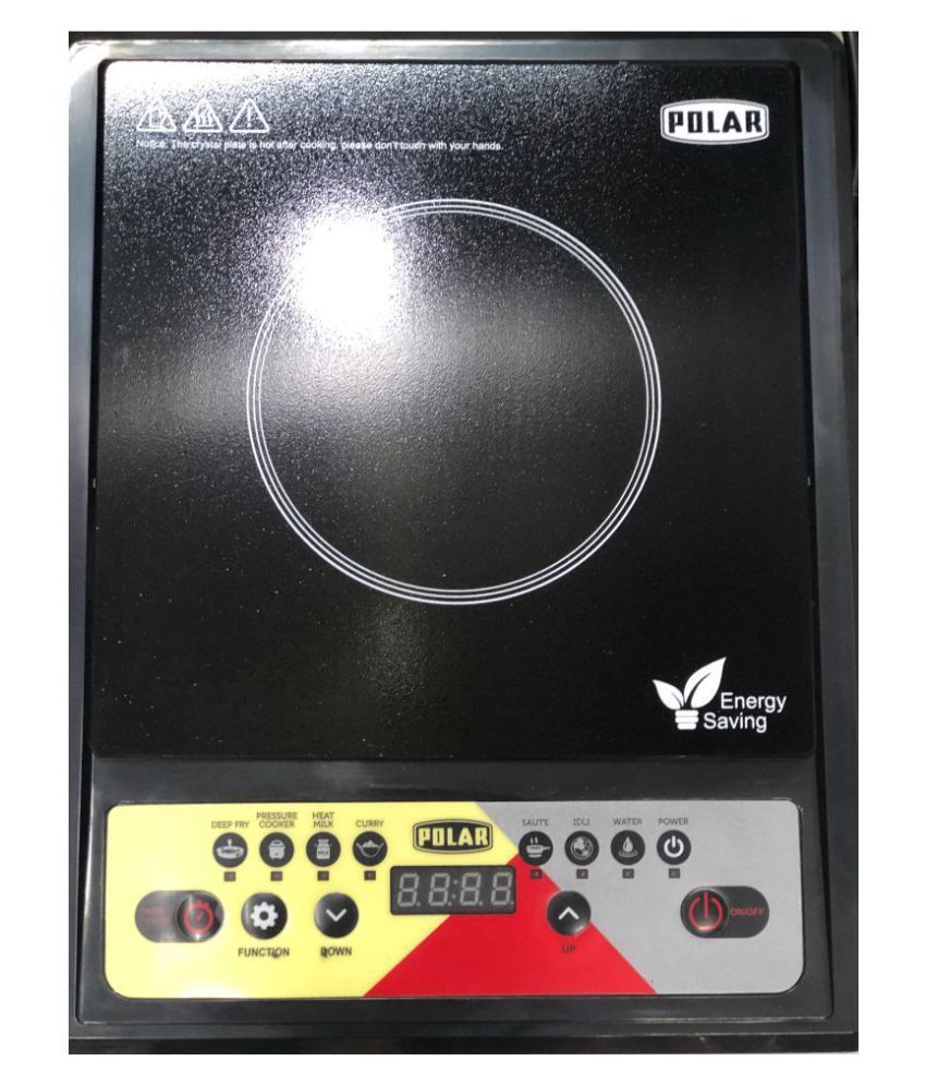 polar induction 2000 watt price