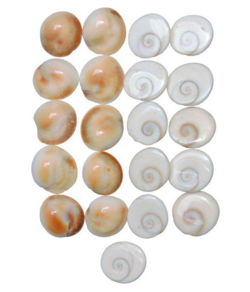     			NITIN COLLECTION Gomti Chakra 21pcs