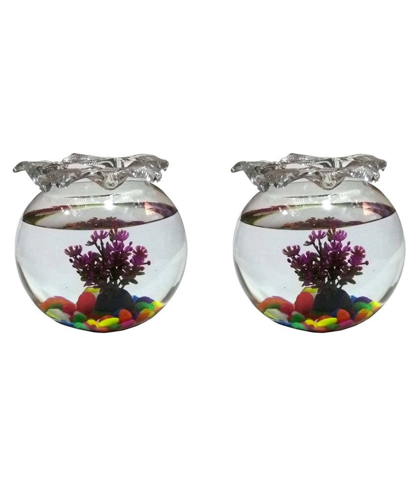     			Clear & Transparent Round Glass Aquarium Fish Pot For Joom View Of 6 Inch Table Top ( Set Of 2 )