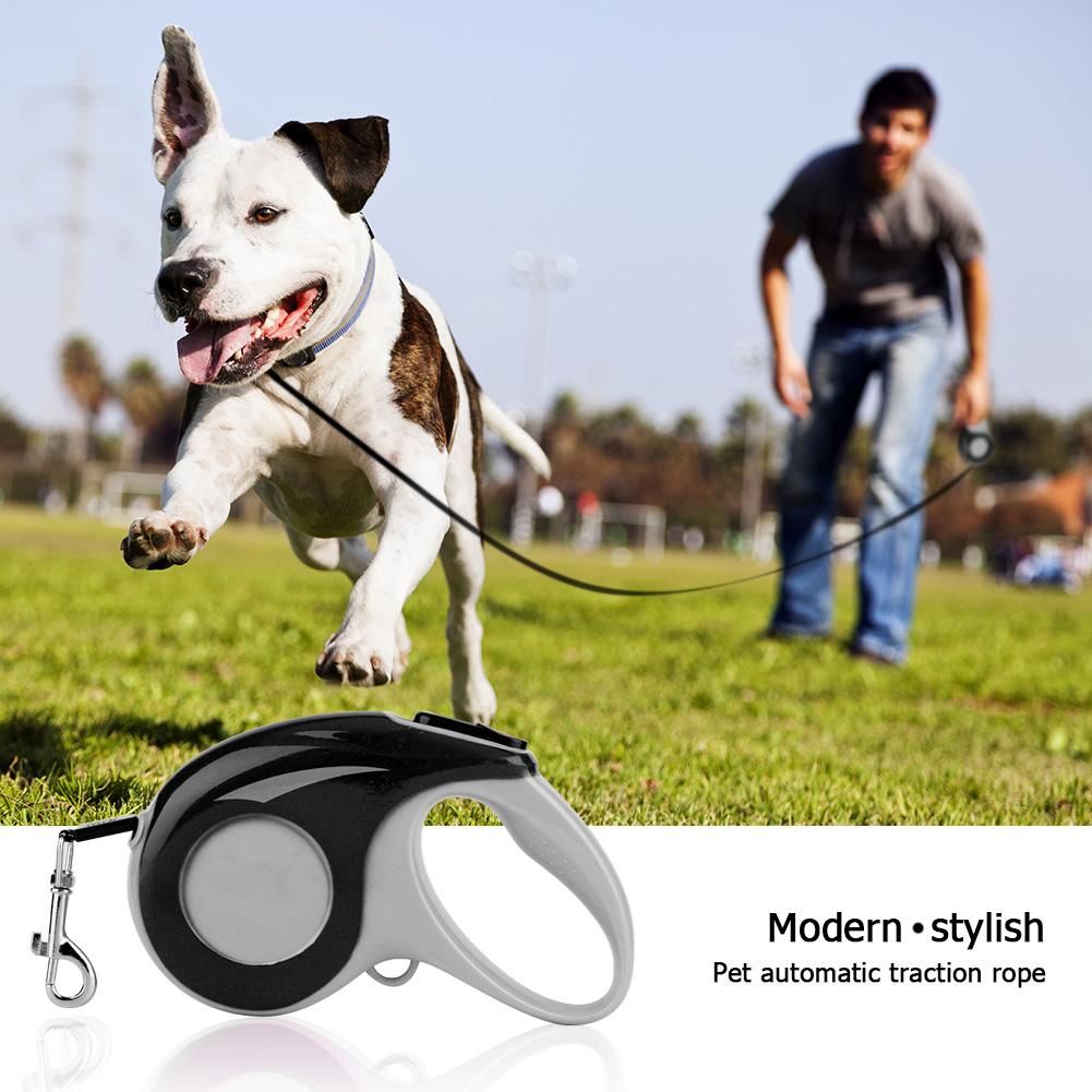 dog leash automatic