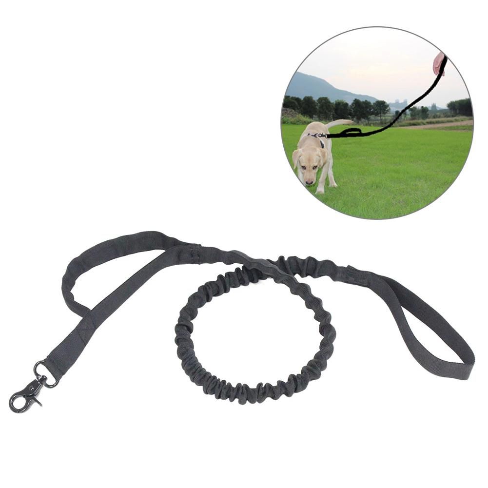 dog training belt