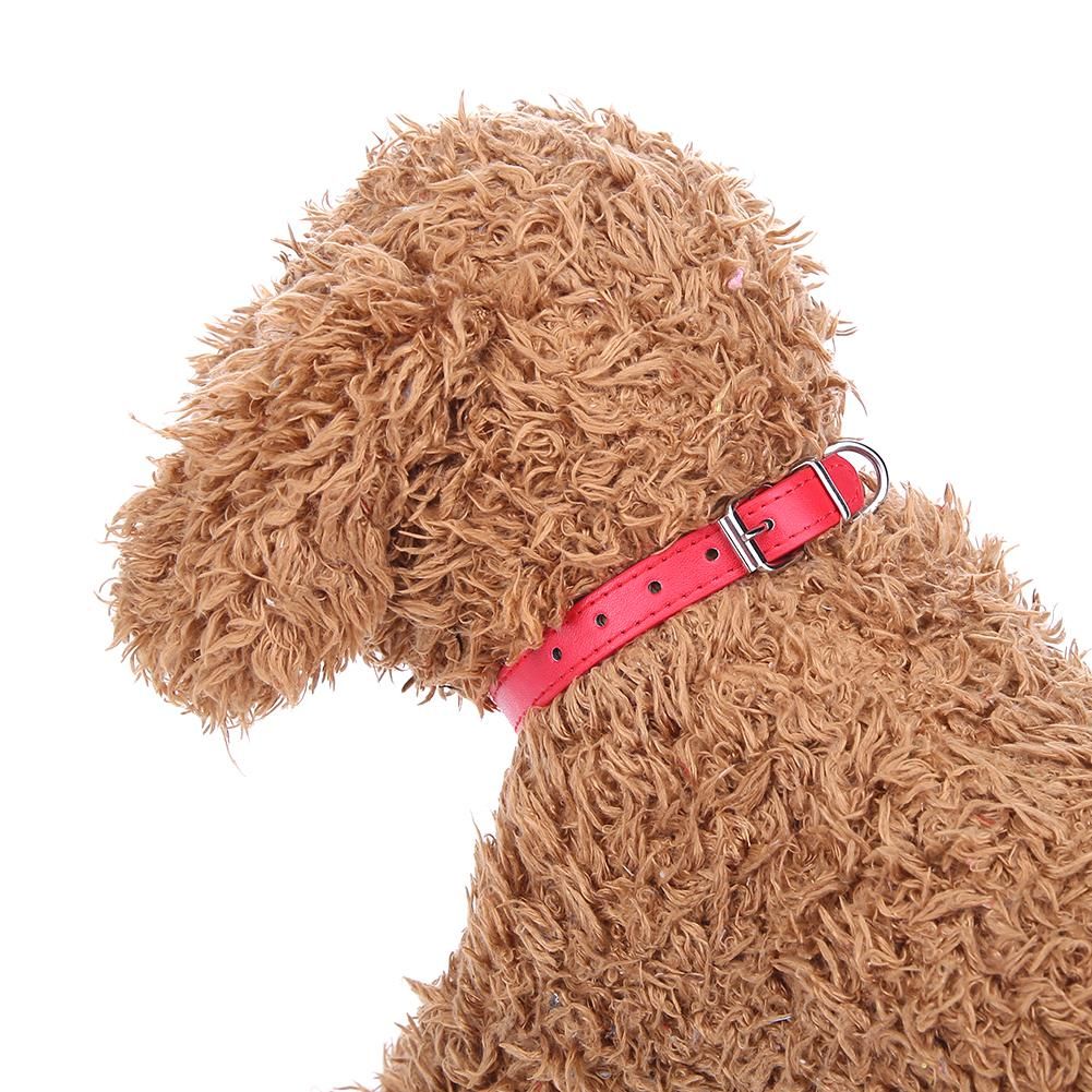 dog belt snapdeal