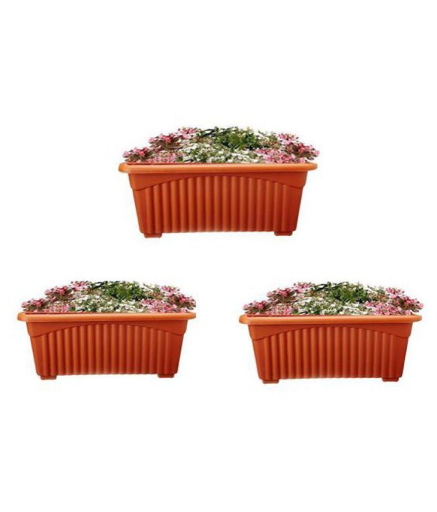 alkarty Both Flower Pot  Buy alkarty Both Flower Pot  