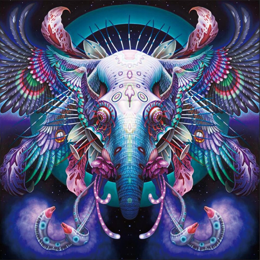 Cocoshope Paintings 5d Diamond Painting Kit By Number Drill