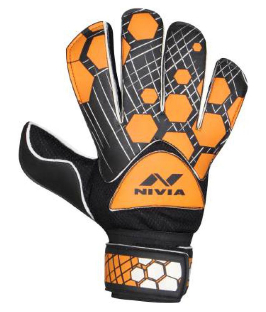 nivia raptor