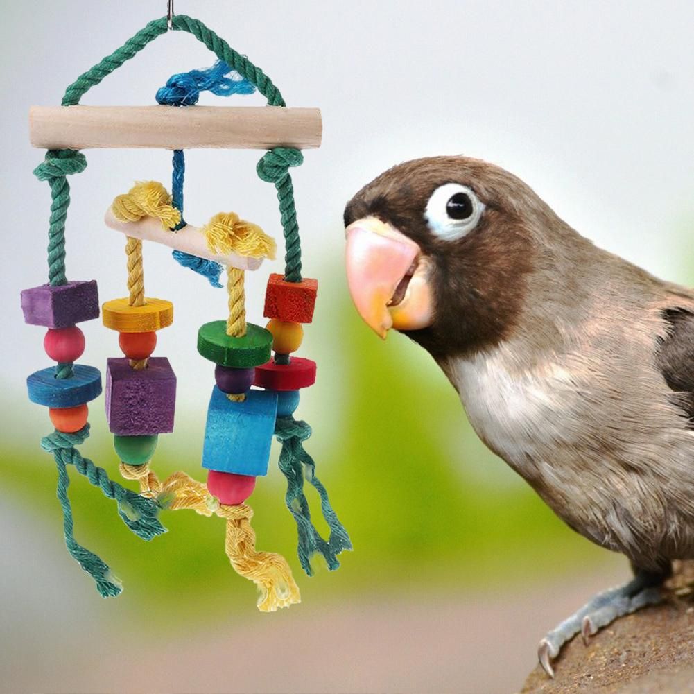 parrot toys online