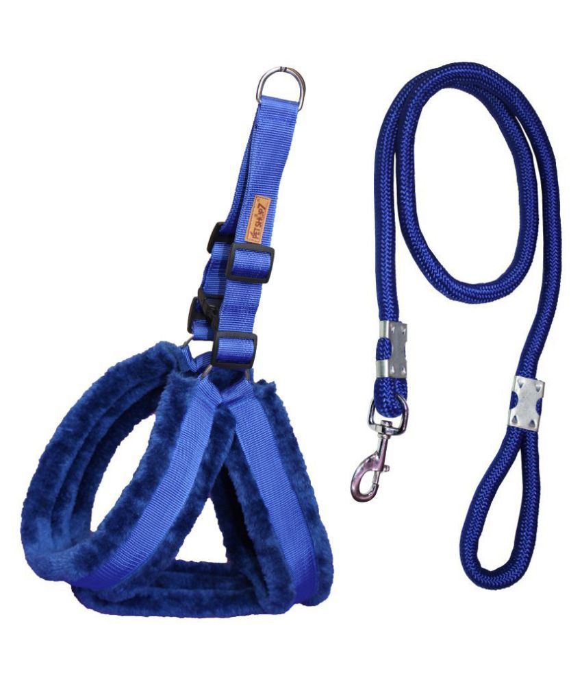     			Petshop7 - Blue Dog Combo (X-Large)