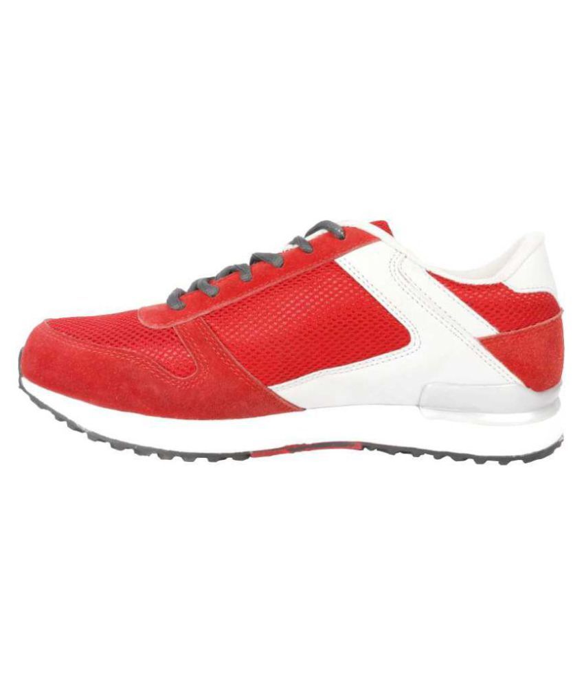 Lotto ZEBRA Red Running Shoes Buy Lotto ZEBRA Red Running Shoes