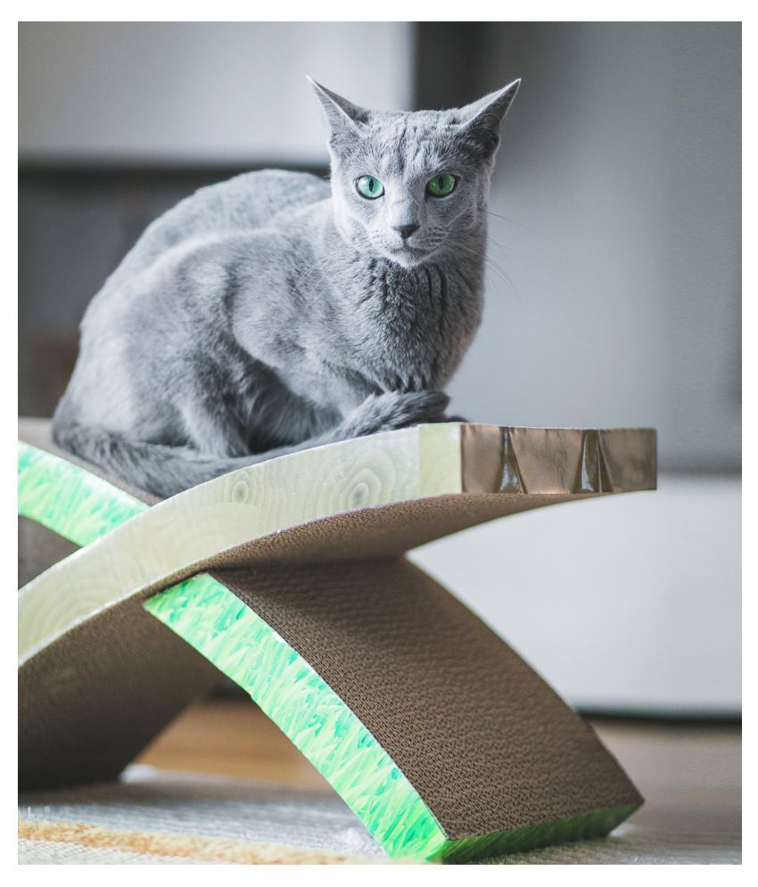 cat hammock scratcher