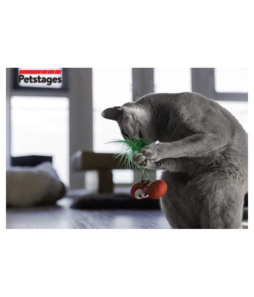 cat dental care toys