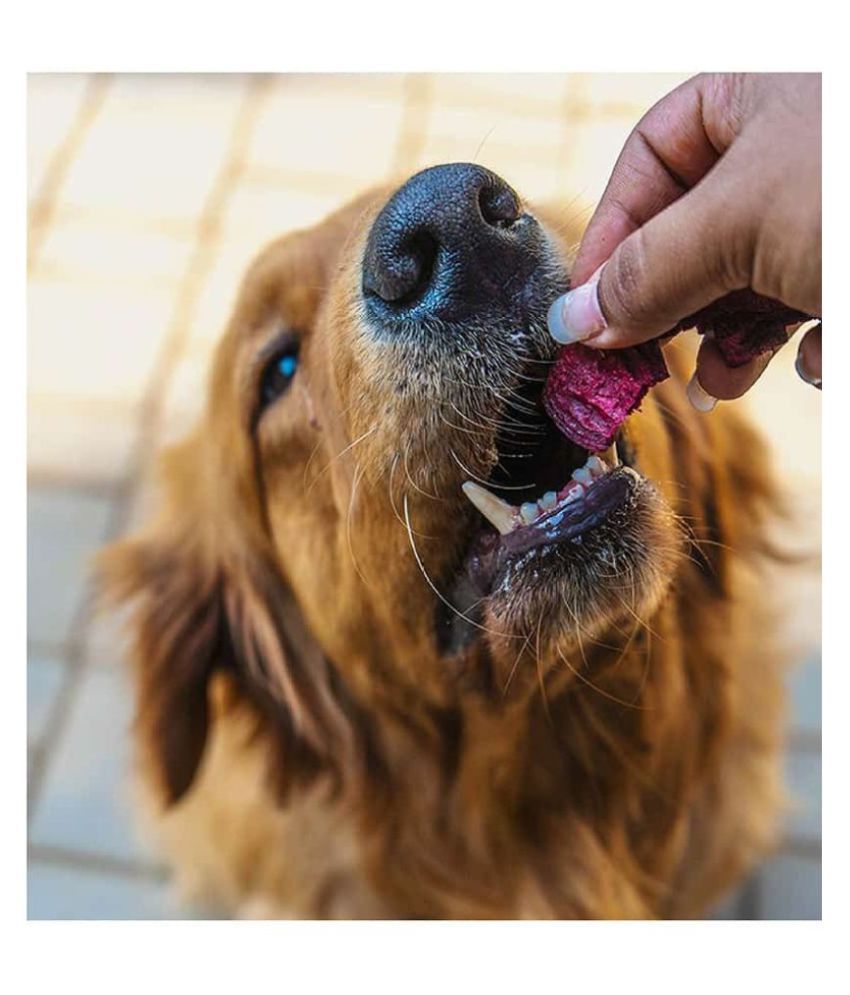 Dogsee Crunch Beetroot FreezeDried Beet Dog Treats (Pack of 1) Buy Dogsee Crunch Beetroot