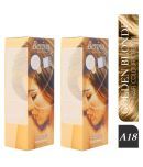 Berina A18 Golden Semi Permanent Hair Color Blonde 60 g Pack of 2