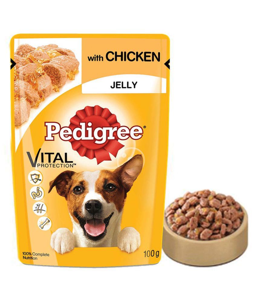 Pedigree Adult Chicken in Jelly Wet Dog Food (12 Pouches x