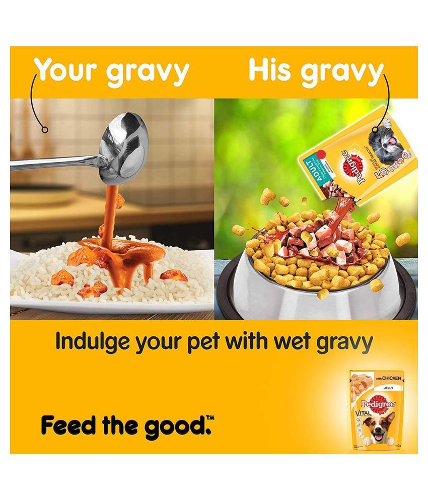 Pedigree Adult Chicken in Jelly Wet Dog Food (12 Pouches x 100gms) Buy Pedigree Adult Chicken