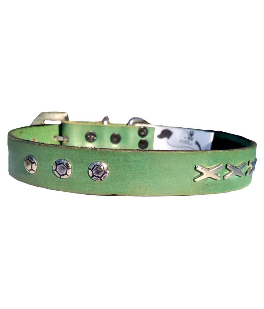 medium dog collar size in inches