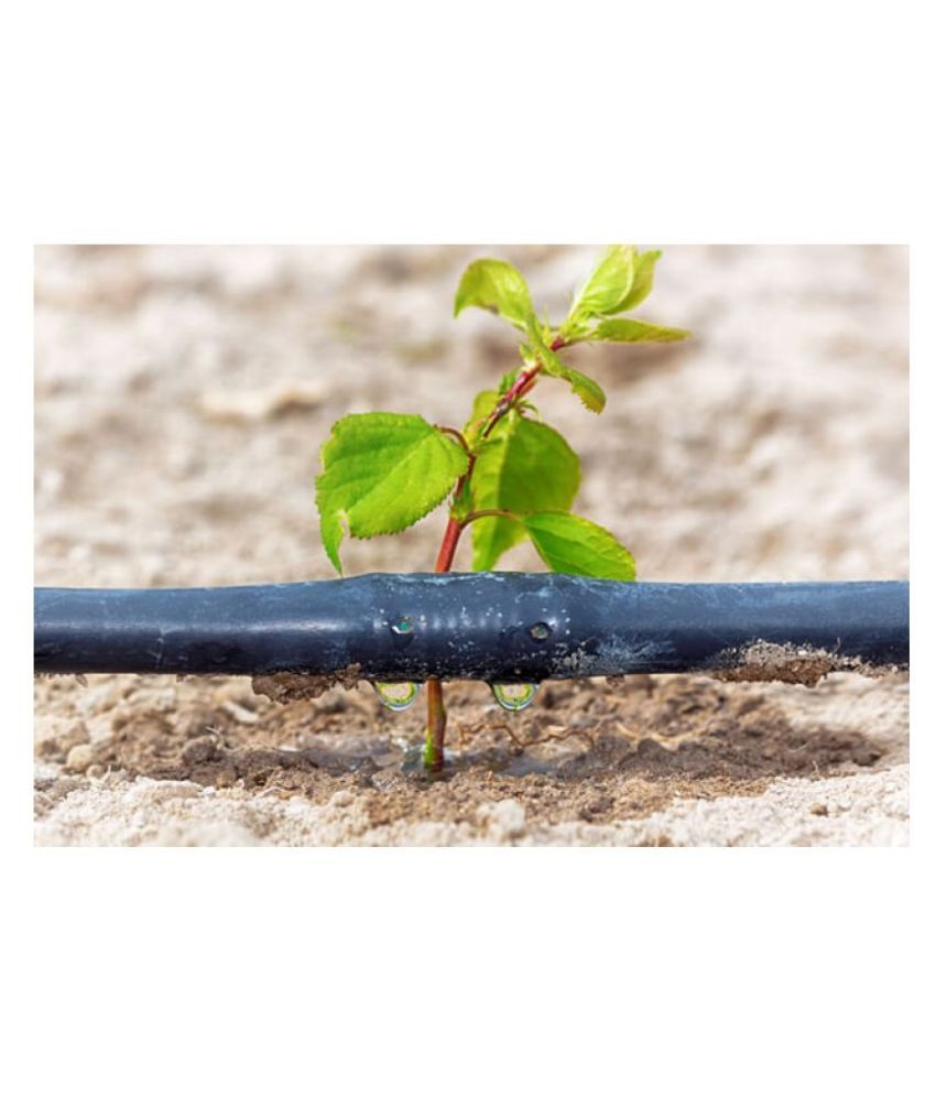 Buy Mipatex Inline 20mm Drip Irrigation Pipe, Dripper at Each 40cm, 4