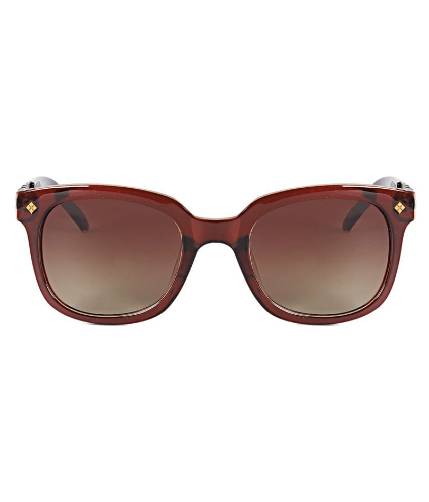 brown clubmaster sunglasses