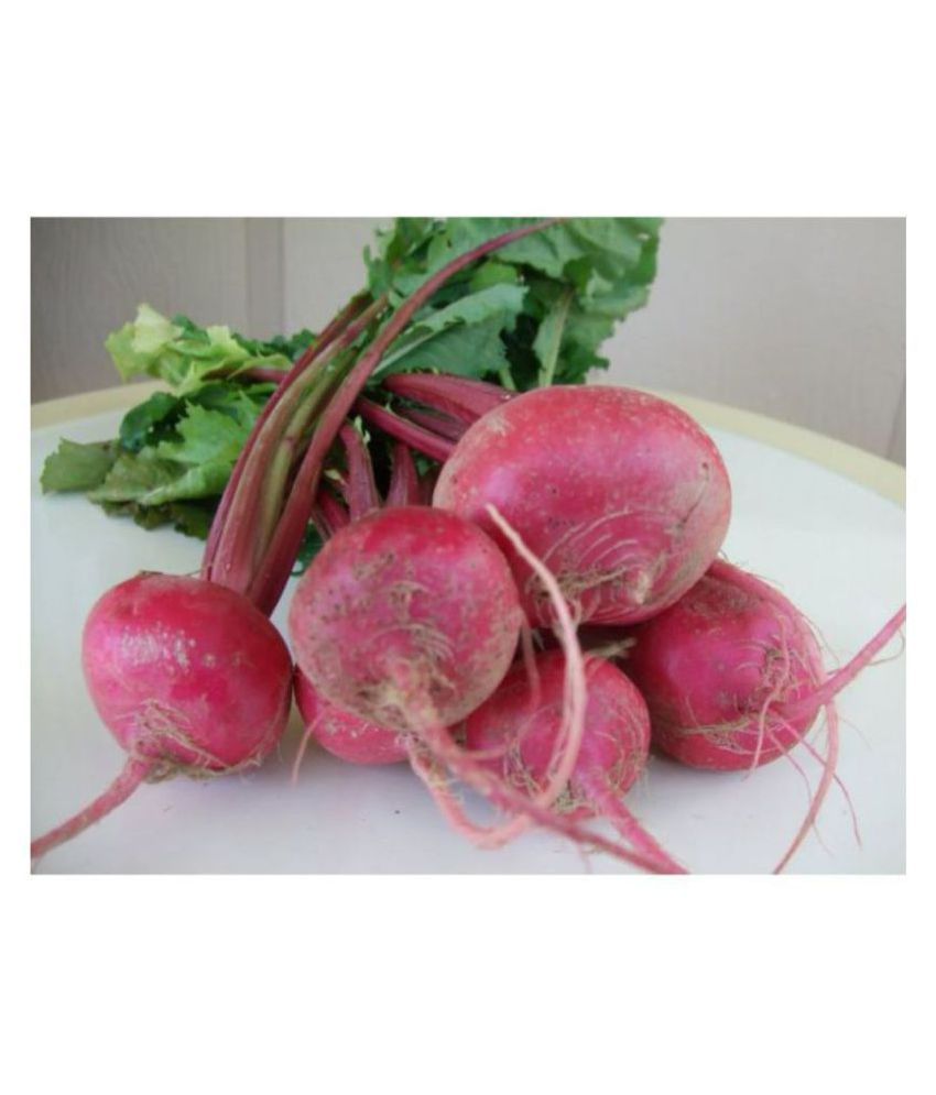 RDRoz Turnip Red Queen Vegetables Seeds Pack of 100 Premium Seeds