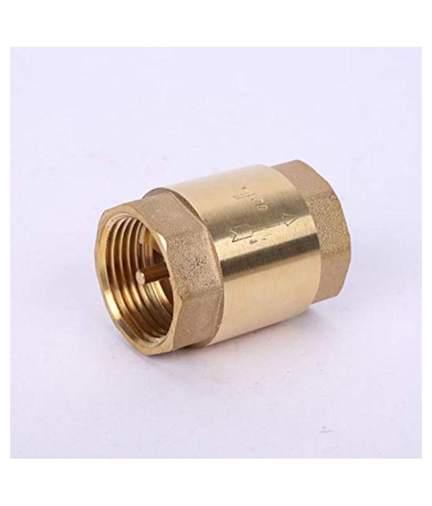 Buy Check Valve 1 inch Online at Low Price in India - Snapdeal