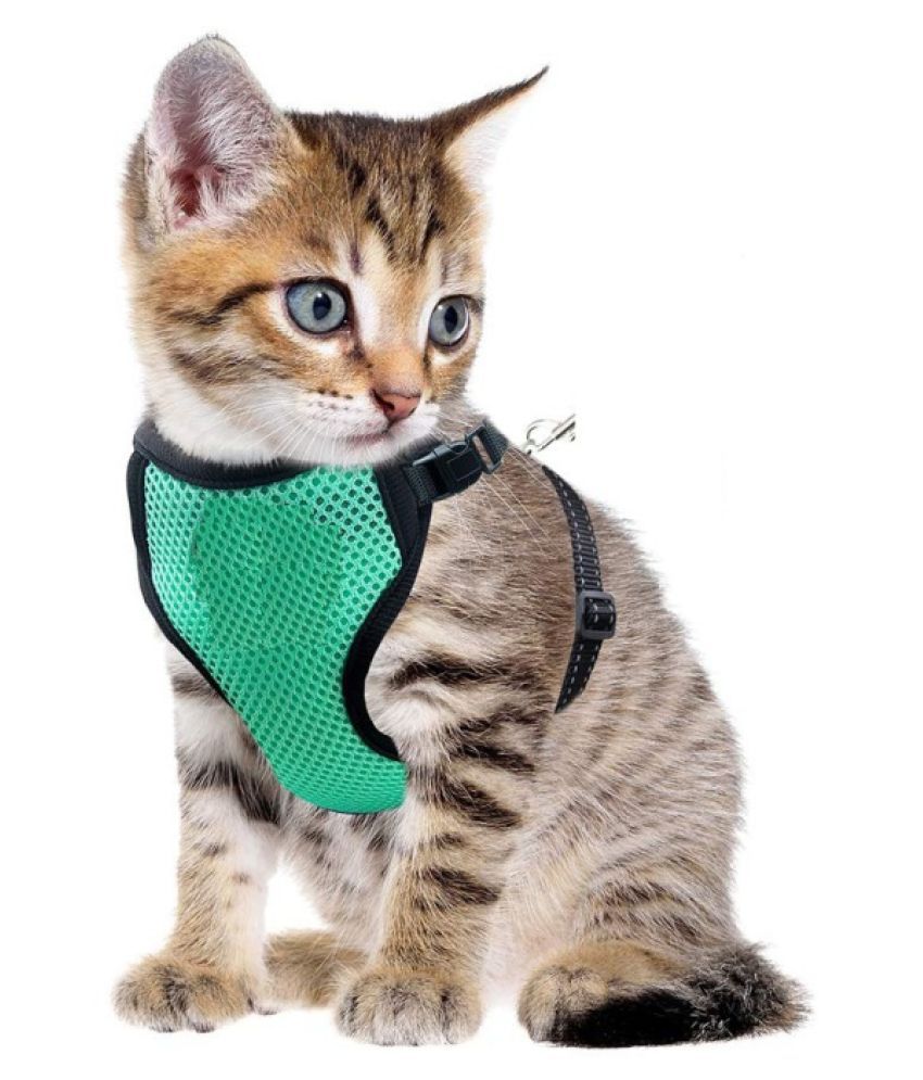 Cat Body Vest Harness Size : Small (Neck Size :24 cm circumferences ...