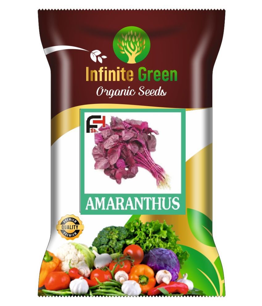 Red Spinach Amaranthus Seeds 100 Seeds Pack Buy Red Spinach