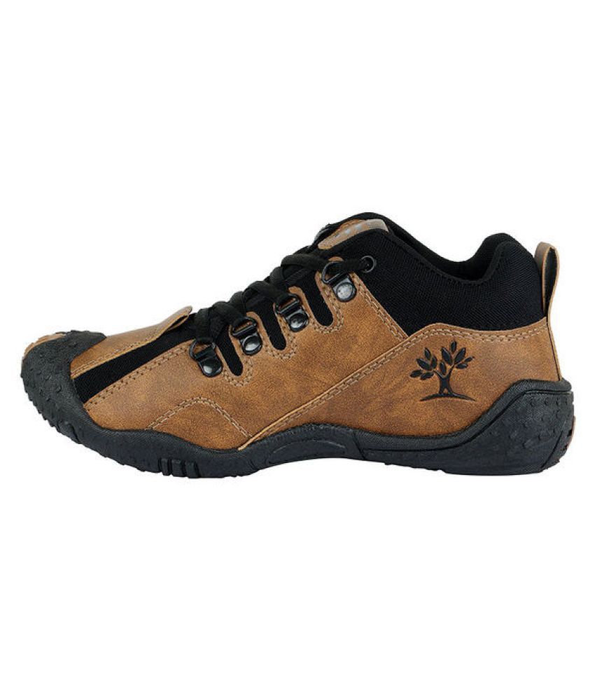 chevit shoes company wiki