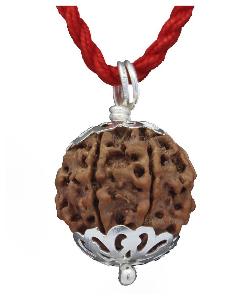 7-mukhi-rudraksha-nepal-pendant-capped-in-silver-lab-certified