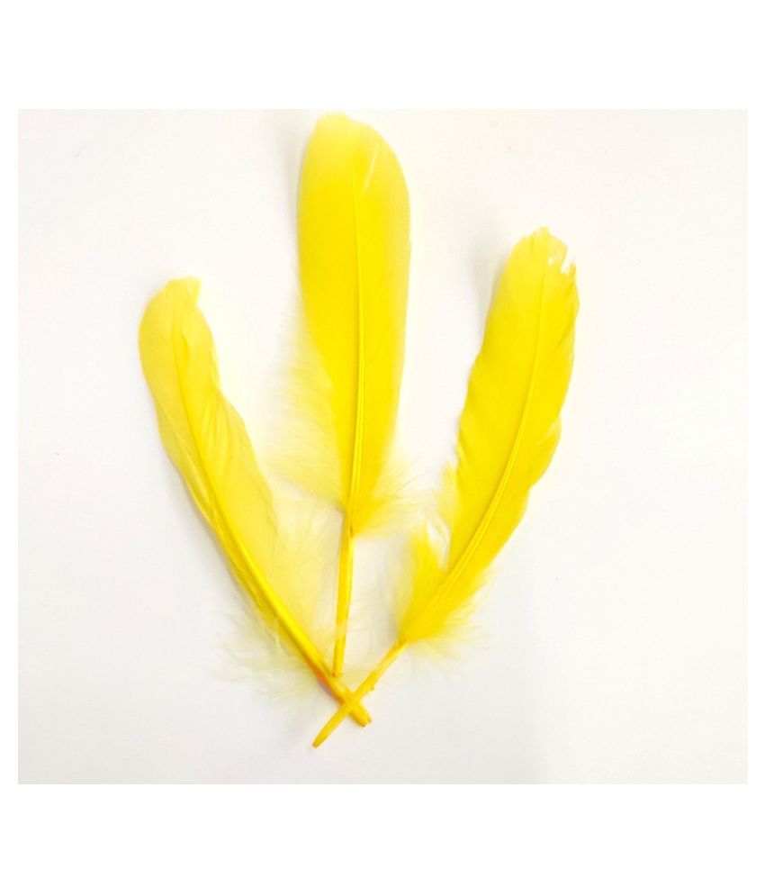 Dyed YellowColor Goose Feather 19cm Art And Craft Decoration H0007