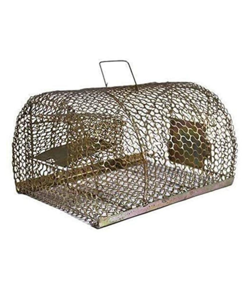 indian mouse trap