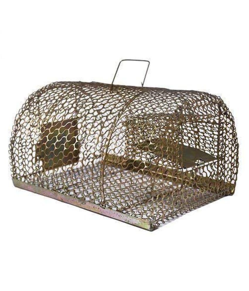 indian mouse trap
