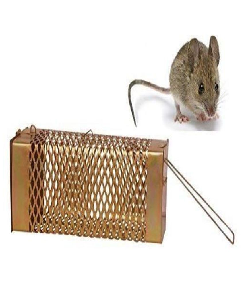 indian mouse trap