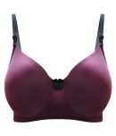 Clovia Net/Mesh Lightly Padded Women's T-Shirt Bra ( Purple )