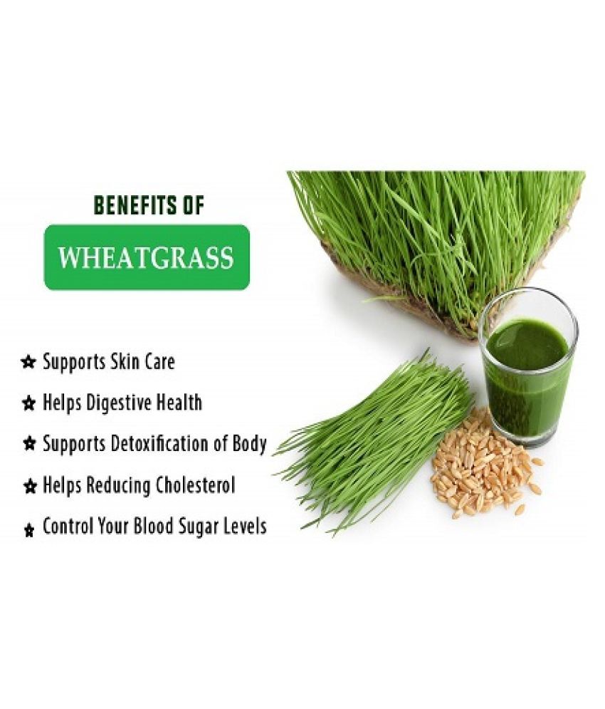 Ultra Pure Wheatgrass Drops Herbal Wheatgrass Extract Drops For