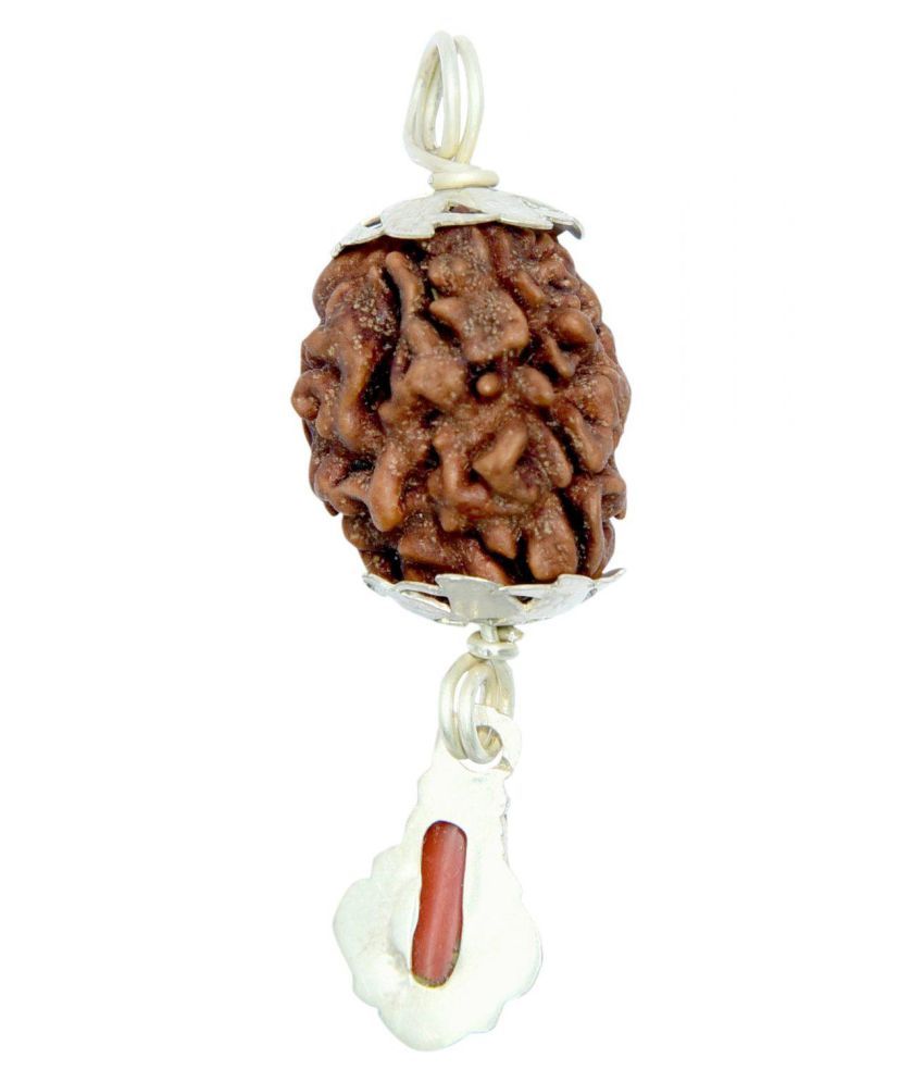 mesh-rashi-rudraksha-gemstone-silver-coated-pendant-by-pandit-nm