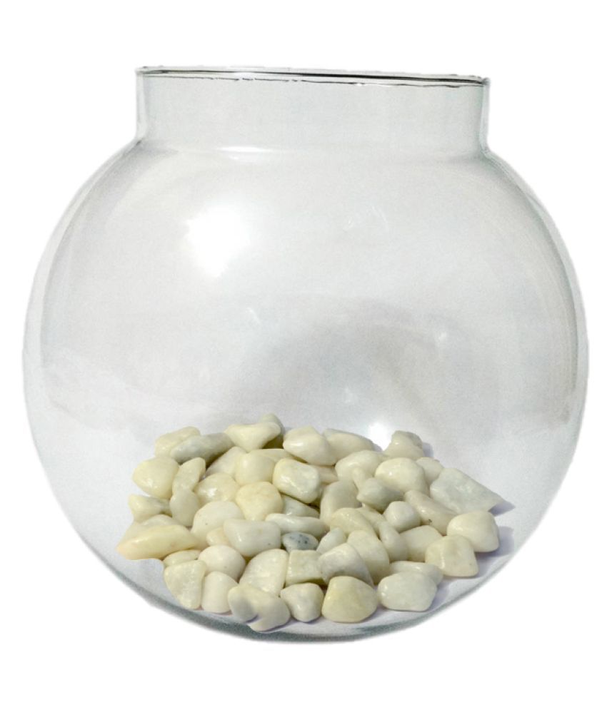     			Somil Transparent Round Glass Fish Pot For Zoom View With Colorful Stones, 6 Inch Table Top