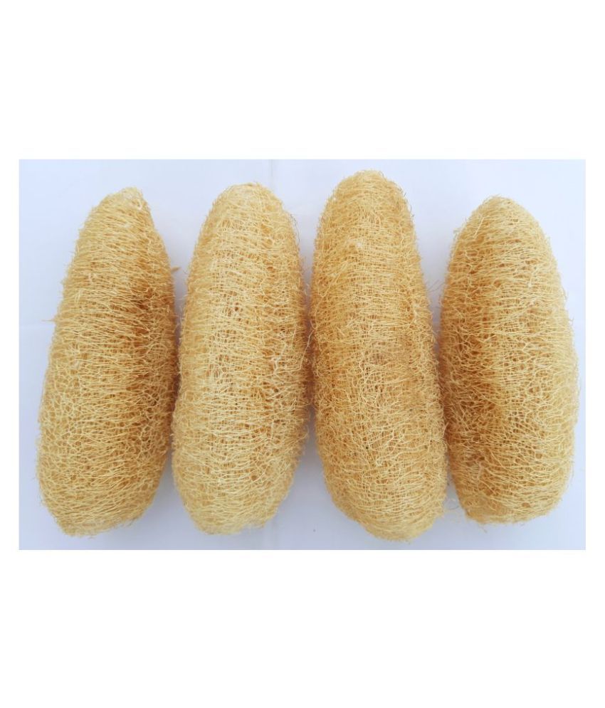Natural Organic Ridge Gourd Body Scrubber Loofah Sponges for Bathing Pack of 5 Body Scrub Foam