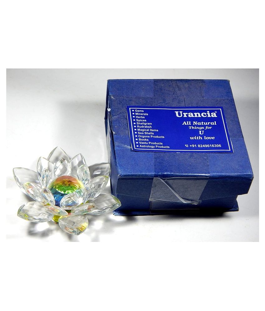 Crystal Lotus Flower Vastu Best Flower Site
