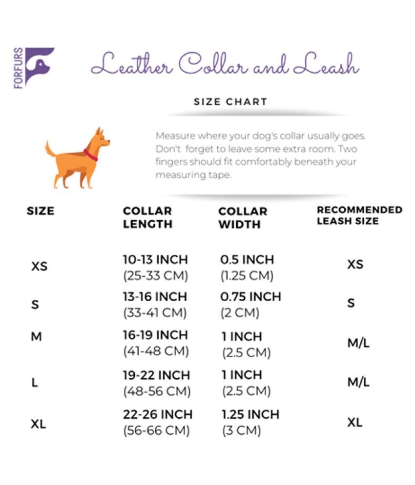Forfurs Studded Leather Dog Collar and 