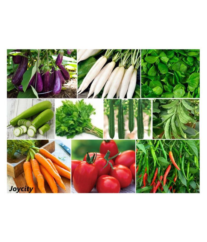     			Joycity Organic Vegetable Seeds Combo- 10 Varieties Of Vegetable Seeds (625+ Seeds)
