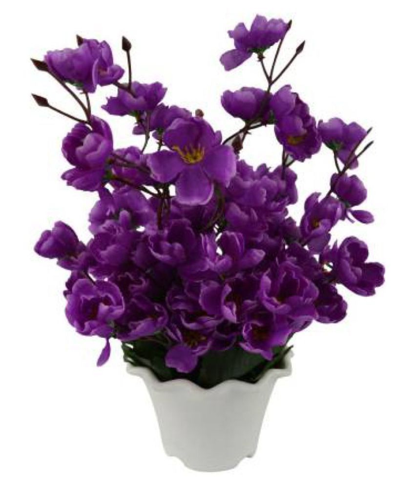 Green plant indoor Orchids Purple Flowers With Pot - Pack of 1: Buy