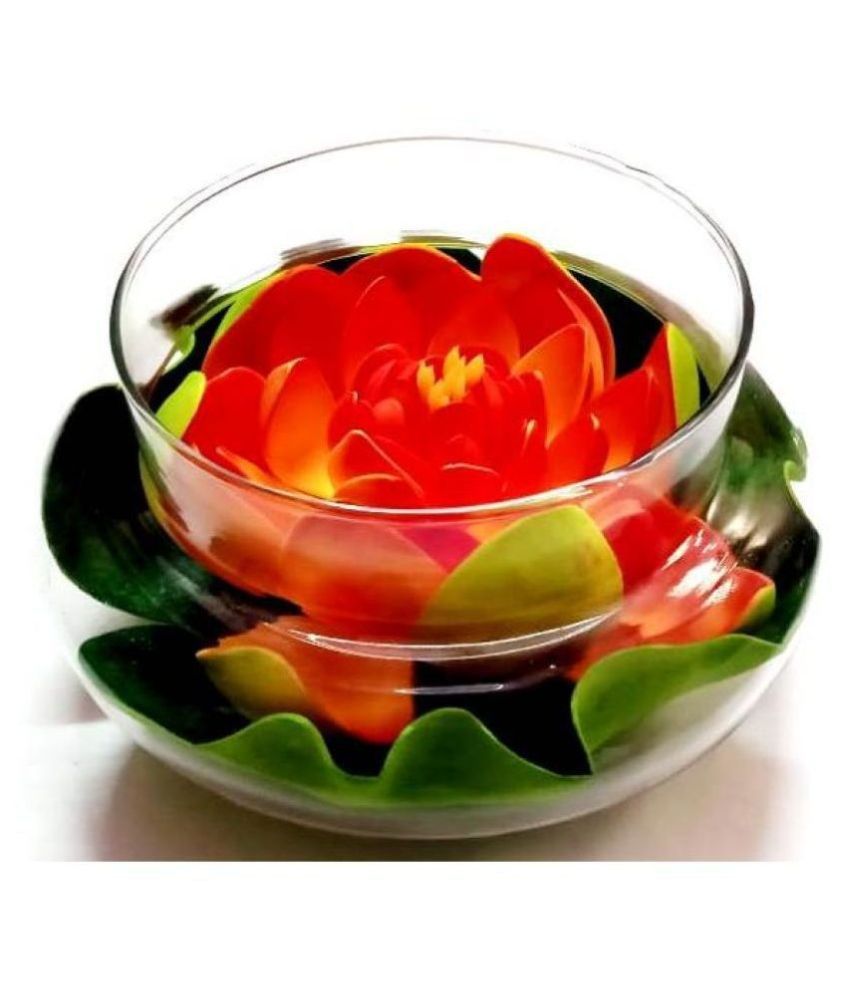     			Green plant indoor Lotus Orange Flowers With Pot - Pack of 1