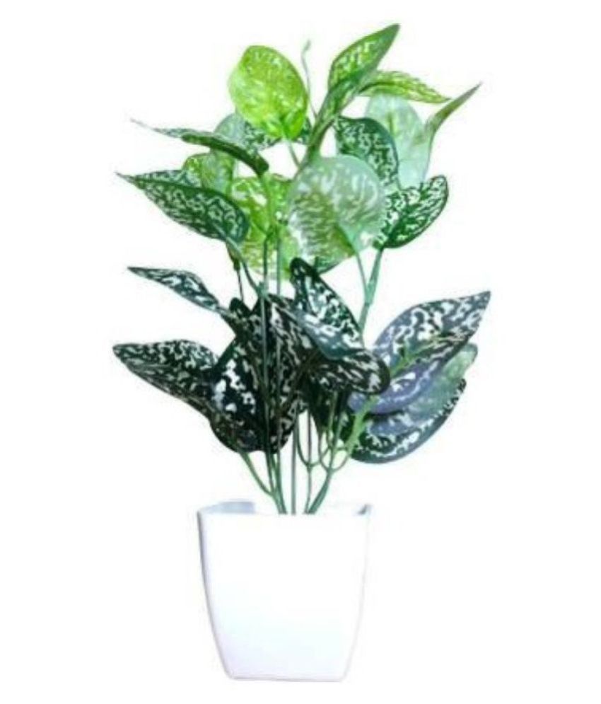     			Green plant indoor Artificial Money Plants Multicolour Bonsai Plastic - Pack of 1