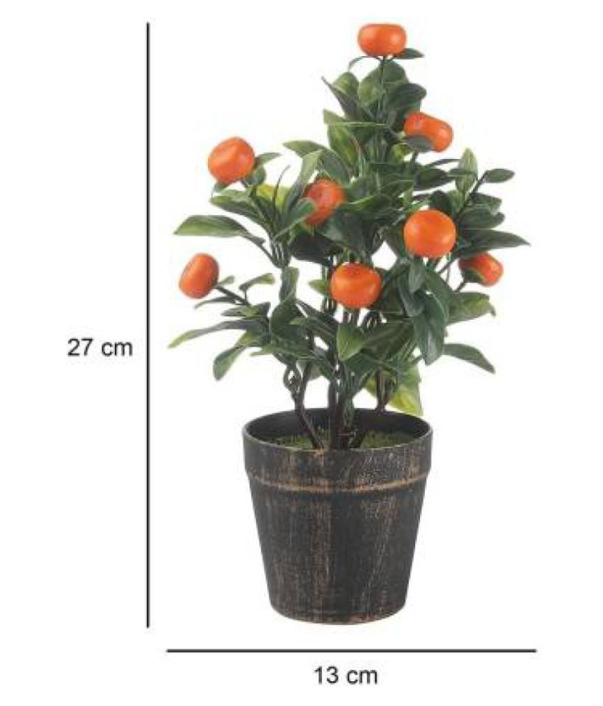 Magic of Gifts Artificial Orange Bonsai Tree Orange Bonsai Plastic