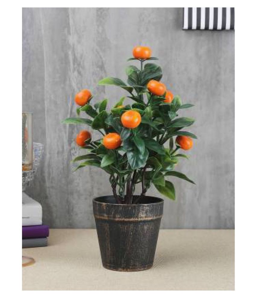 Magic of Gifts Artificial Orange Bonsai Tree Orange Bonsai Plastic
