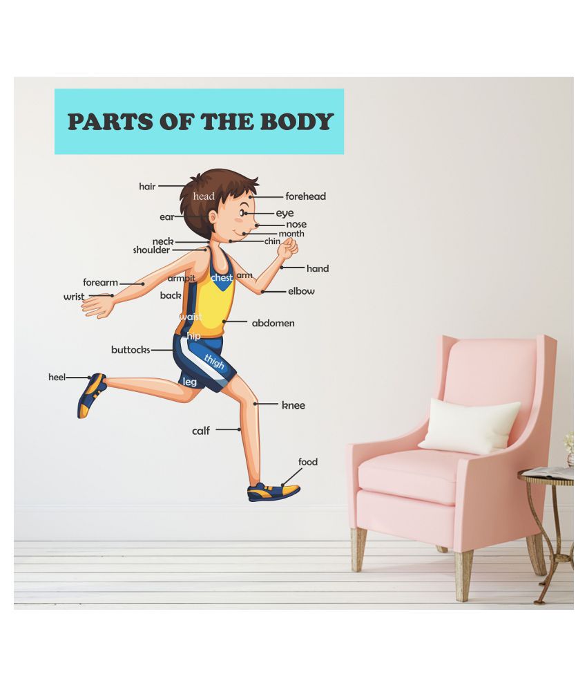     			Wallzone Parts of The Body Sticker ( 50 x 60 cms )