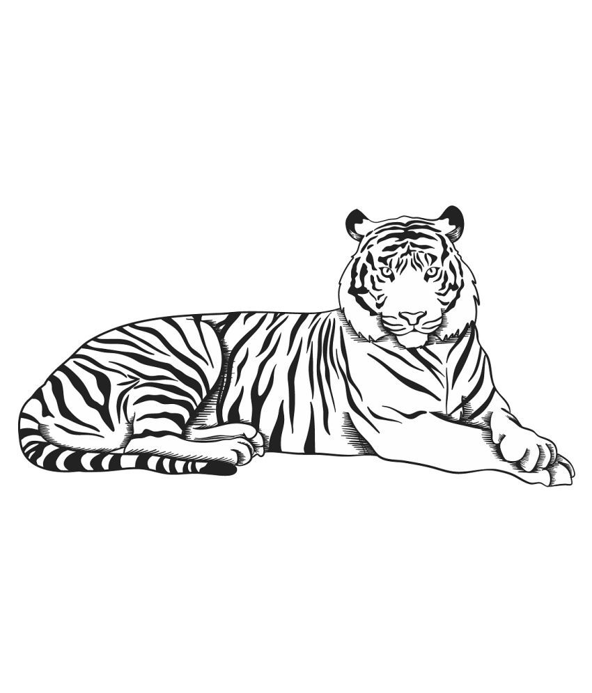     			Wallzone Tiger Sticker ( 80 x 60 cms )
