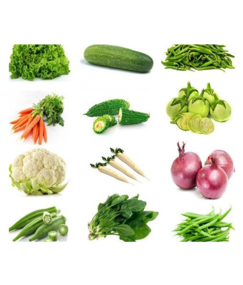     			12 VEG COMBO (10-10SEEDS OF EACH ONE ) TOTAL 120 SEEDS PACK WITH MANUAL